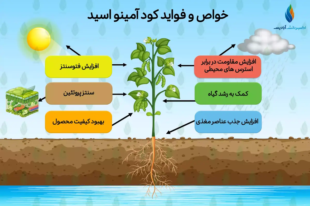 اسید آمینه (Amino Acid) در کشاورزی چیست؟