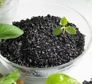 هیومیک اسید چیست و چه کاربردی درکشاورزی دارد ؟