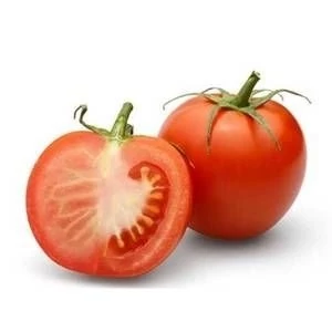 بذر گوجه فرنگی